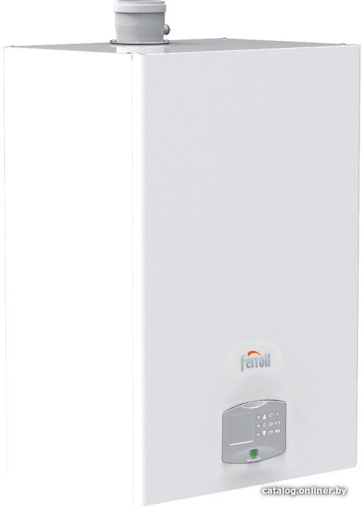 Отопительный котел Ferroli Force W 60