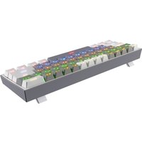 Клавиатура Redragon Fizz Pro (белый/серый)