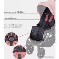 Универсальная коляска Rant Flex Pro RA074 2023 (2 в 1, pink)