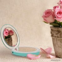 Косметическое зеркало ShineMirror TD-012 (бирюзовый)