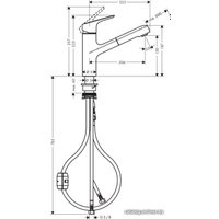 Смеситель Hansgrohe Focus M43 71842000 (хром)