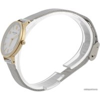 Наручные часы Pierre Cardin PC902662F07