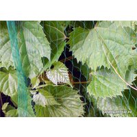 Укрывной материал Bradas Bird Net 4x20 м AS-BN10191940020