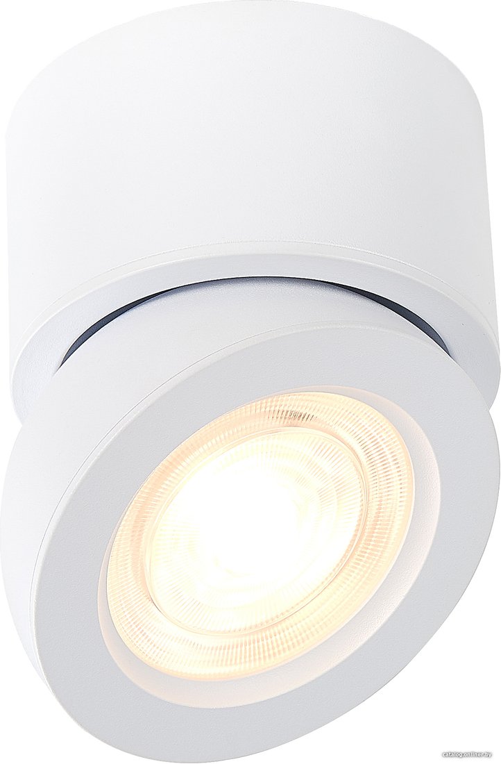 Спот ST Luce ST654 ST654.532.10