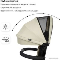 Детский велосипед Nuovita Bamzione BE3 (агатово-серый)