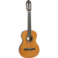 Акустическая гитара Valencia VC213 N