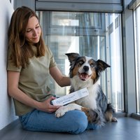 Натуральный корм для собак Protexin Проколин (60мл)