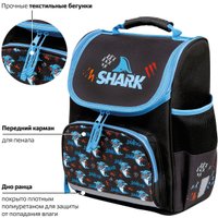 Школьный рюкзак Пифагор Basic. Angry Shark 272044