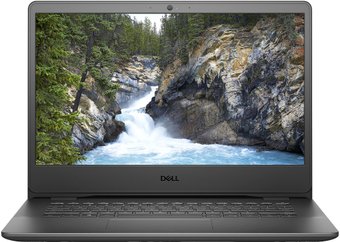 Dell Vostro 14 3400 N6004VN