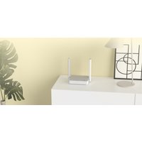 Wi-Fi роутер Netcraze Explorer NC-1621 в Пинске
