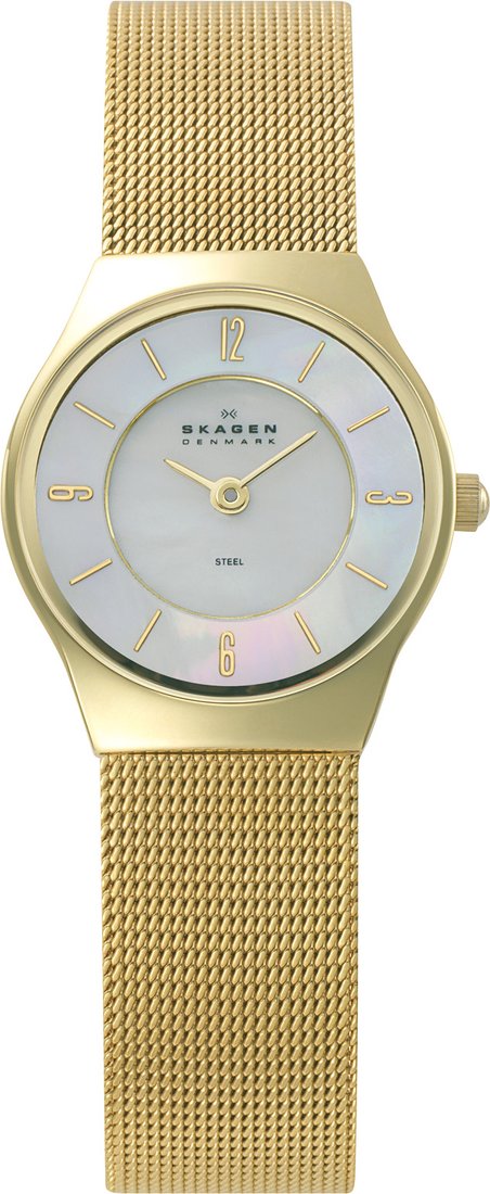 

Наручные часы Skagen 233XSGG