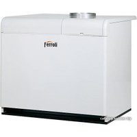 Отопительный котел Ferroli Pegasus F3 N 2S 136