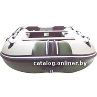 Моторно-гребная лодка Велес 03/300