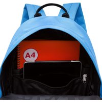 Городской рюкзак Grizzly RQL-317-3 (синий)