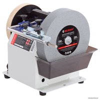 Заточный станок Belmash (Белмаш) WPG-250/200