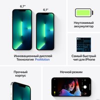 Телефон Apple iPhone 13 Pro Max 1TB (серебристый)