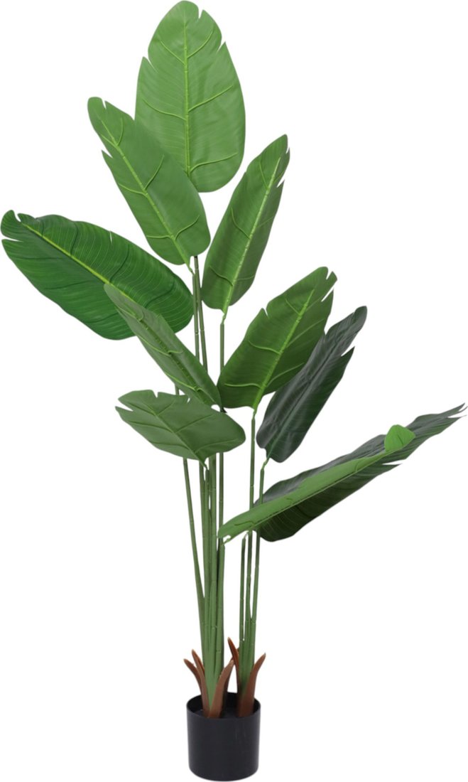 

Искусственное растение AksHome Banana 120 см