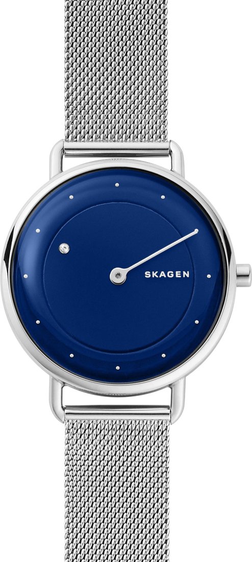 

Наручные часы Skagen SKW2738