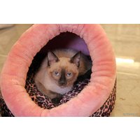 Домик Pinkaholic Snuggle CAOD-AU9222-PK-FR (розовый)