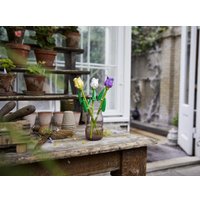 Конструктор LEGO Creator Expert 40461 Тюльпаны