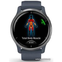 Умные часы Garmin Venu 2 (нержавеющая сталь/синий гранит)