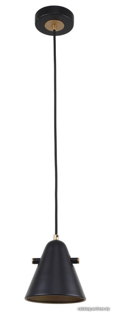 Подвесная люстра F-Promo Rigor 2844-1P