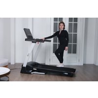 Электрическая беговая дорожка Orlauf Larus (серый)