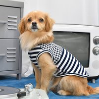 Футболка Puppia Winona PAUA-TS1801-NY-M (M, синий)