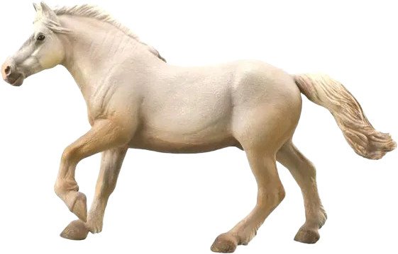 

Фигурка Collecta Американская кремовая лошадь 88846b