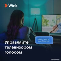 Умная колонка VK Капсула Мини (терракотовый)