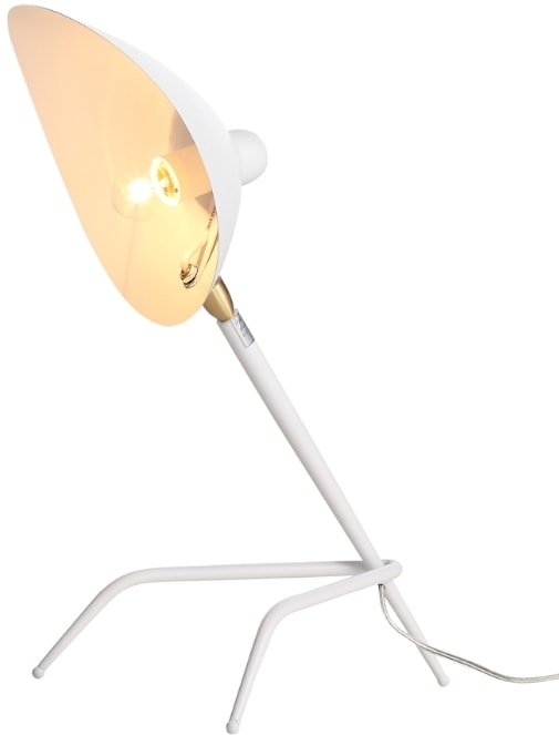 

Настольная лампа ST Luce Spruzzo SL305.504.01