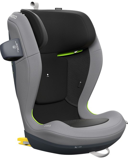 

Детское автокресло Swandoo Charlie i-size (sesame grey)