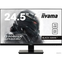 Игровой монитор Iiyama G-Master Black Hawk G2530HSU-B1