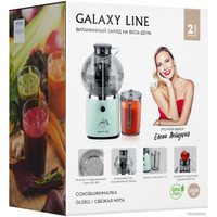 Соковыжималка Galaxy Line GL0811 (свежая мята)