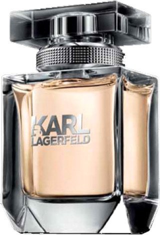 

Парфюмерная вода Karl Lagerfeld For Her EdP (45 мл)