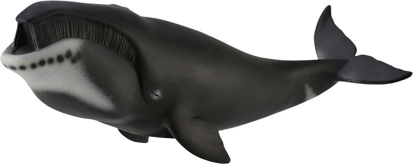 

Фигурка Collecta Гренландский Кит 88652b