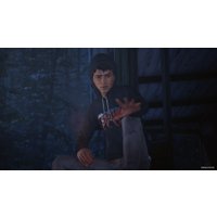  Life is Strange 2: Полное издание для PlayStation 4