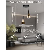 Подвесная люстра Aitin Pro НСБ 01-2х60-101 D1091/2 (черный)