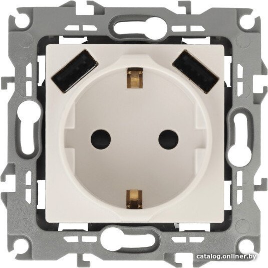 Розетка USB ЭРА 12-4109-02 Б0047841 (слоновая кость)