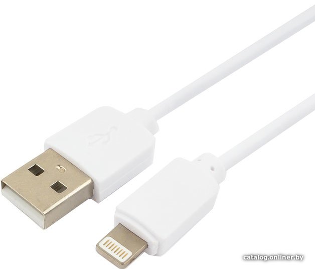 Кабель Гарнизон GCC-USB2-AP2-0.3M-W