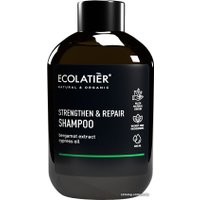 Шампунь Ecolatier Men Сила и укрепление 400 мл