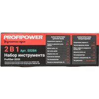  Profipower ProfiSet-2D20 (воздуходувка, цепная пила, 2 АКБ)
