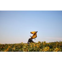 Коляска прогулочная «книга» Anex Air-x 2022 (yellow)