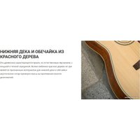 Акустическая гитара Cort L100C NS