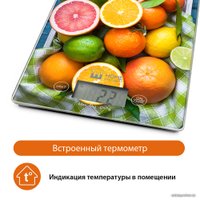 Кухонные весы Home Element HE-SC935 (цитрусовый фреш)