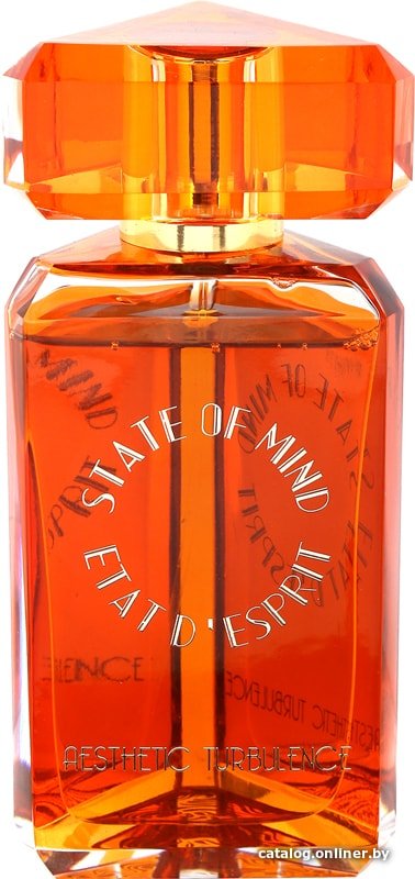 Парфюмерная вода State of Mind Aesthetic Turbulence EdP (100 мл)