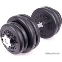 Гантель Central Sport N2 32 кг