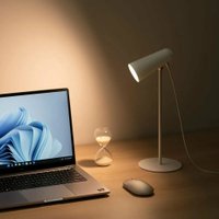Настольная лампа Xiaomi Flexible Rechargeable Lamp MJTD05YL (белый) в Борисове