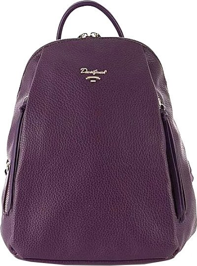 

Городской рюкзак David Jones 823-CH21044E-PRP (фиолетовый)