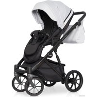 Универсальная коляска Riko Montana (2 в 1, 03)